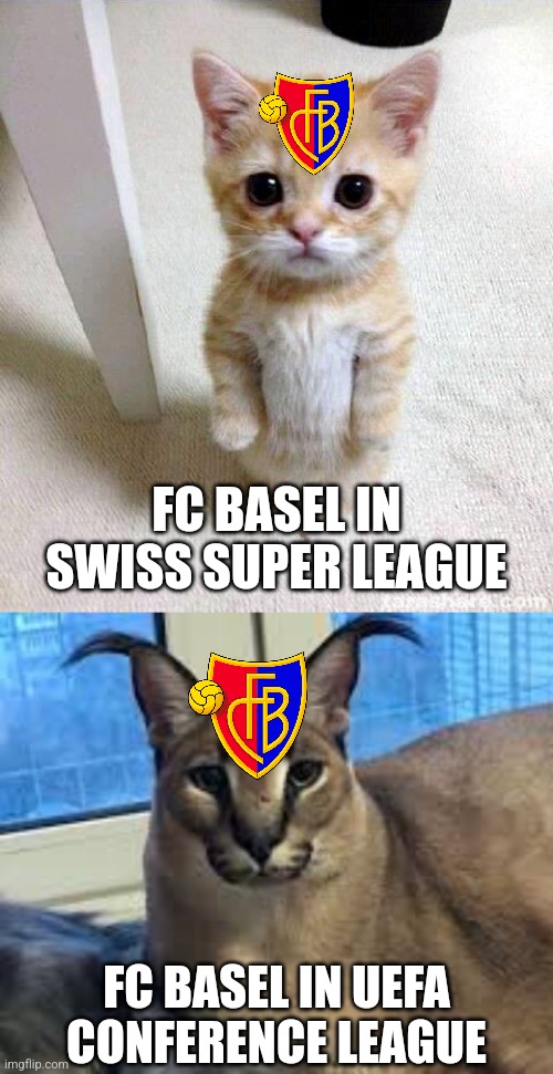 AC Fiorentina 1-2 FC Basel 1893 | FC BASEL IN SWISS SUPER LEAGUE; FC BASEL IN UEFA CONFERENCE LEAGUE | image tagged in memes,cute cat,floppa,fiorentina,basel,conference league | made w/ Imgflip meme maker
