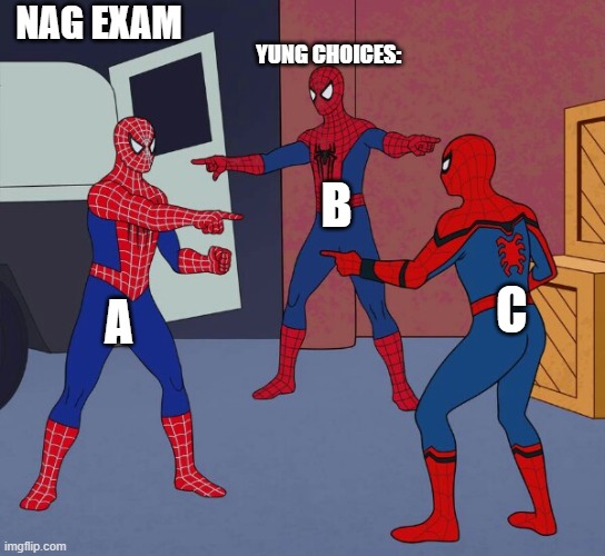 Spider Man Triple | NAG EXAM; YUNG CHOICES:; B; C; A | image tagged in spider man triple | made w/ Imgflip meme maker
