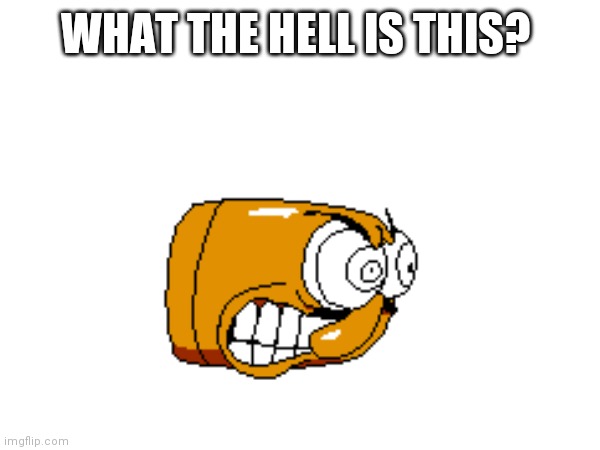 This thing..... | WHAT THE HELL IS THIS? | image tagged in memes,what the hell | made w/ Imgflip meme maker