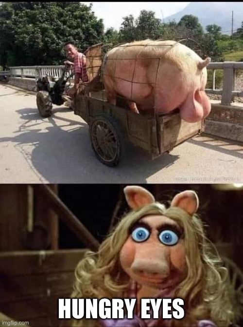 Miss Piggy thirst | HUNGRY EYES | image tagged in thirsty,stay thirsty,miss piggy,dark miss piggy,balls | made w/ Imgflip meme maker