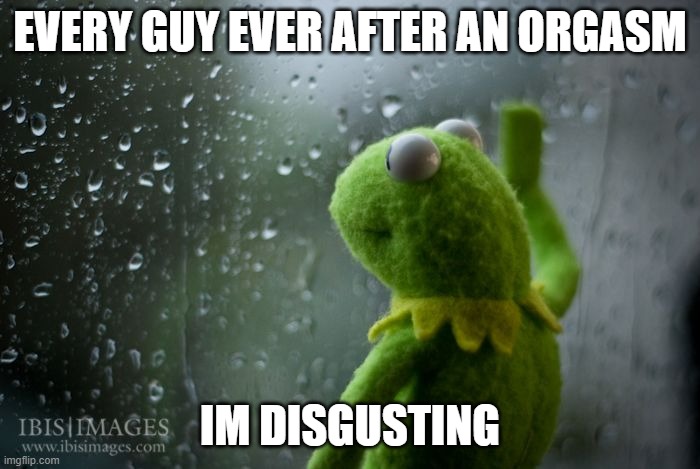 kermit window | EVERY GUY EVER AFTER AN ORGASM; IM DISGUSTING | image tagged in kermit window | made w/ Imgflip meme maker