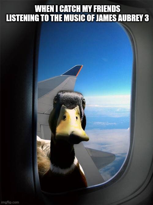 James Aubrey 3 | WHEN I CATCH MY FRIENDS LISTENING TO THE MUSIC OF JAMES AUBREY 3 | image tagged in duck plane window,music,music meme,funny memes,funny | made w/ Imgflip meme maker