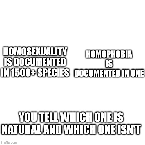 You tell me which one is natural and which one isn't | HOMOPHOBIA IS DOCUMENTED IN ONE; HOMOSEXUALITY IS DOCUMENTED IN 1500+ SPECIES; YOU TELL WHICH ONE IS NATURAL AND WHICH ONE ISN'T | image tagged in memes,blank transparent square | made w/ Imgflip meme maker
