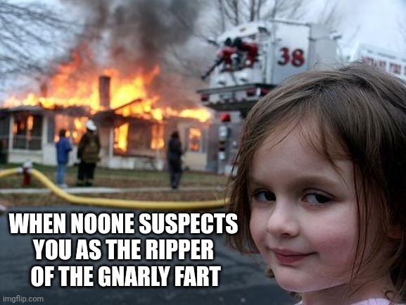 Disaster Girl | WHEN NOONE SUSPECTS YOU AS THE RIPPER  OF THE GNARLY FART | image tagged in memes,disaster girl | made w/ Imgflip meme maker
