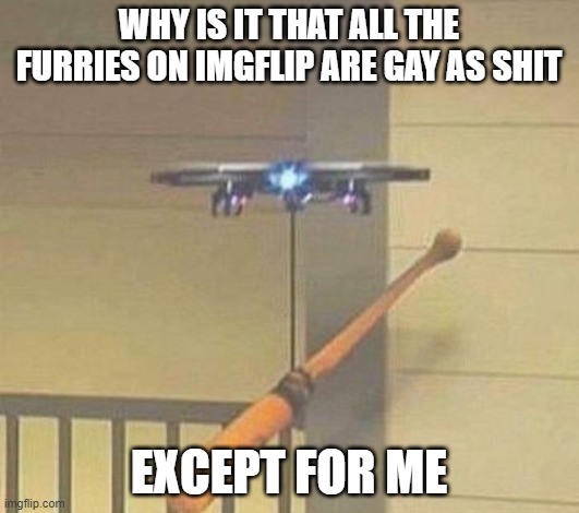 Attack drone | WHY IS IT THAT ALL THE FURRIES ON IMGFLIP ARE GAY AS SHIT; EXCEPT FOR ME | image tagged in attack drone | made w/ Imgflip meme maker