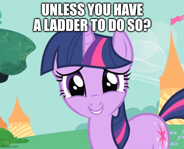 UNLESS YOU HAVE A LADDER TO DO SO? | made w/ Imgflip meme maker