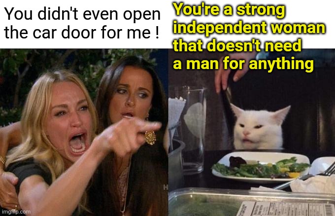 Woman Yelling At Cat Meme | You didn't even open the car door for me ! You're a strong independent woman that doesn't need a man for anything | image tagged in memes,woman yelling at cat | made w/ Imgflip meme maker