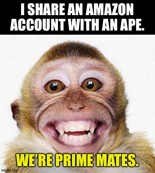 Monkey business | image tagged in bad pun | made w/ Imgflip meme maker