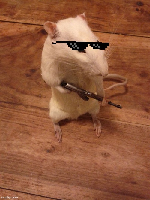 Rebellious Rat | image tagged in rebellious rat | made w/ Imgflip meme maker