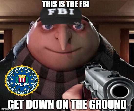 they caught you | THIS IS THE FBI; GET DOWN ON THE GROUND | image tagged in gru gun,antimeme,fbi,arrest,police | made w/ Imgflip meme maker