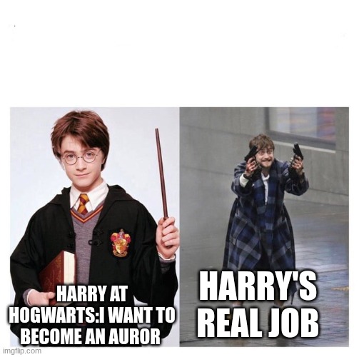 Harry vs HARRY | HARRY AT HOGWARTS:I WANT TO BECOME AN AUROR; HARRY'S REAL JOB | image tagged in harry vs harry | made w/ Imgflip meme maker