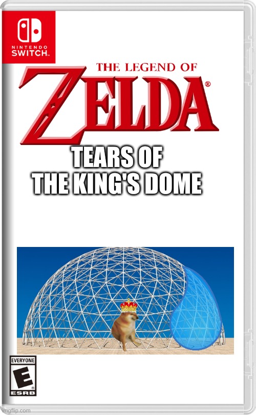 The new Zelda game is finally released!!! | TEARS OF THE KING'S DOME | image tagged in nintendo switch | made w/ Imgflip meme maker
