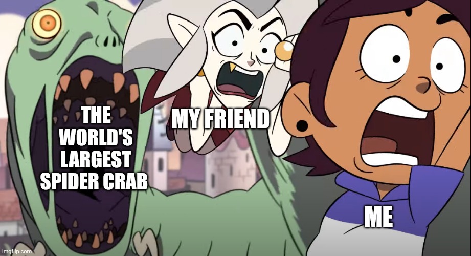 Spider crab | THE WORLD'S LARGEST SPIDER CRAB; MY FRIEND; ME | image tagged in the owl house opening meme | made w/ Imgflip meme maker