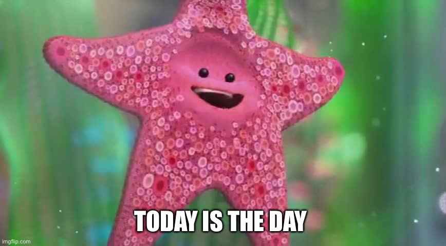 Starfish | TODAY IS THE DAY | image tagged in starfish | made w/ Imgflip meme maker