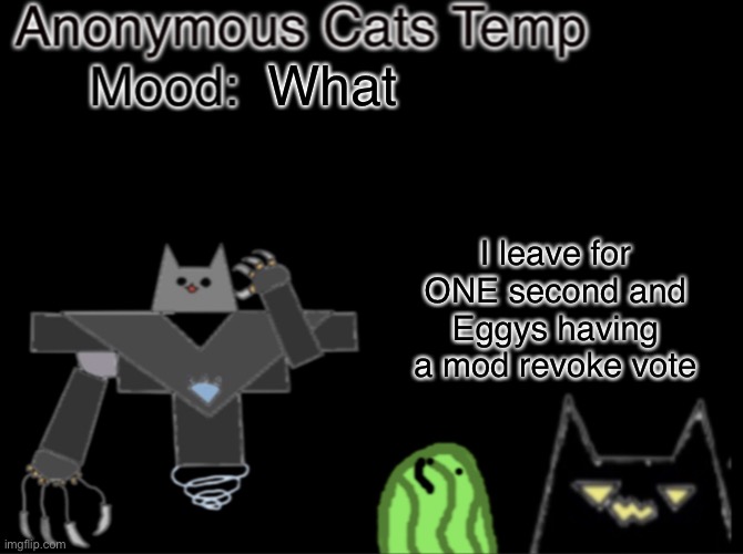 Anonymous_Cats temp | What; I leave for ONE second and Eggys having a mod revoke vote | image tagged in anonymous_cats temp | made w/ Imgflip meme maker