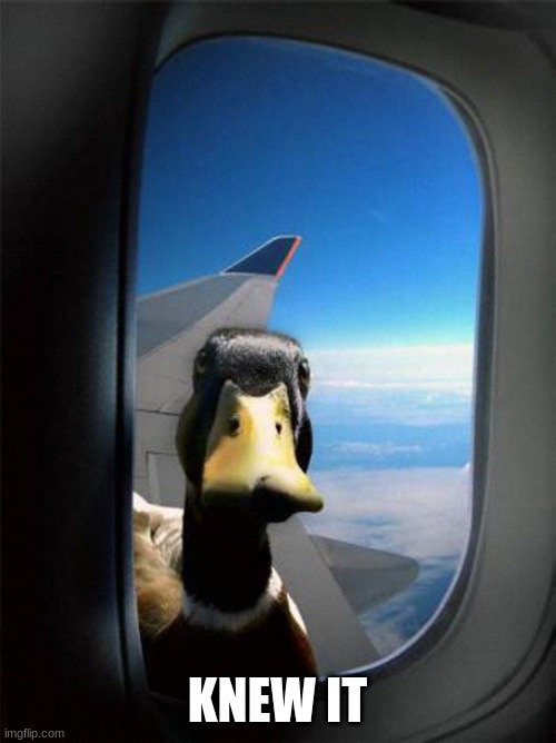 Airplane Duck | KNEW IT | image tagged in airplane duck | made w/ Imgflip meme maker