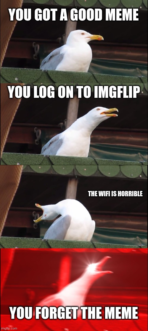made at 8:34 in the morning | YOU GOT A GOOD MEME; YOU LOG ON TO IMGFLIP; THE WIFI IS HORRIBLE; YOU FORGET THE MEME | image tagged in memes,inhaling seagull | made w/ Imgflip meme maker
