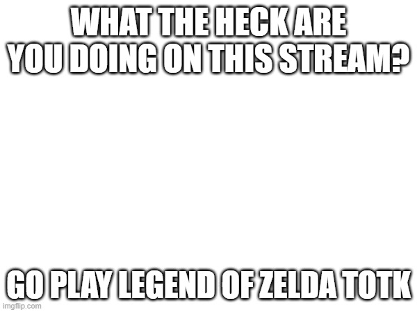 WHAT THE HECK ARE YOU DOING ON THIS STREAM? GO PLAY LEGEND OF ZELDA TOTK | made w/ Imgflip meme maker