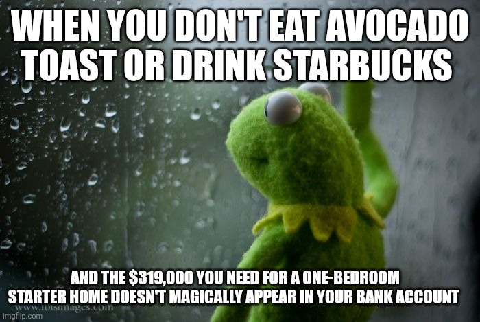 boomer advice at its finest | WHEN YOU DON'T EAT AVOCADO TOAST OR DRINK STARBUCKS; AND THE $319,000 YOU NEED FOR A ONE-BEDROOM STARTER HOME DOESN'T MAGICALLY APPEAR IN YOUR BANK ACCOUNT | image tagged in kermit window,ok boomer | made w/ Imgflip meme maker