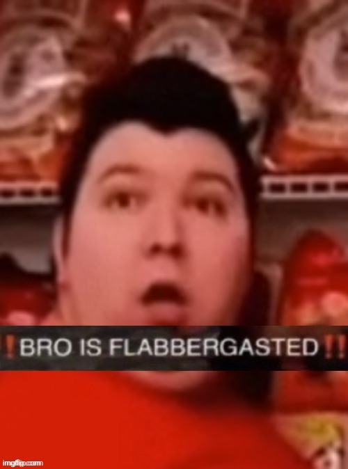 BRO IS FLABBERGASTED | image tagged in flabbergasted nikocado avocado | made w/ Imgflip meme maker