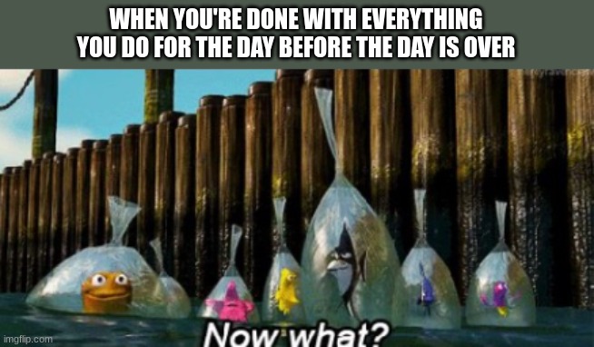 Now what? | WHEN YOU'RE DONE WITH EVERYTHING YOU DO FOR THE DAY BEFORE THE DAY IS OVER | image tagged in nemo | made w/ Imgflip meme maker