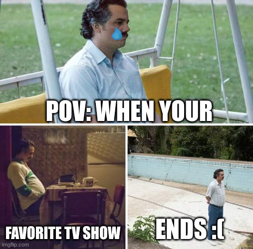 Sad Pablo Escobar Meme | POV: WHEN YOUR; FAVORITE TV SHOW; ENDS :( | image tagged in memes,sad pablo escobar | made w/ Imgflip meme maker