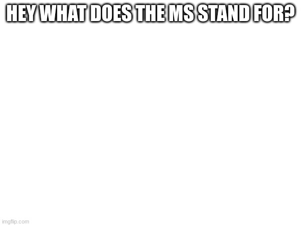 HEY WHAT DOES THE MS STAND FOR? | made w/ Imgflip meme maker