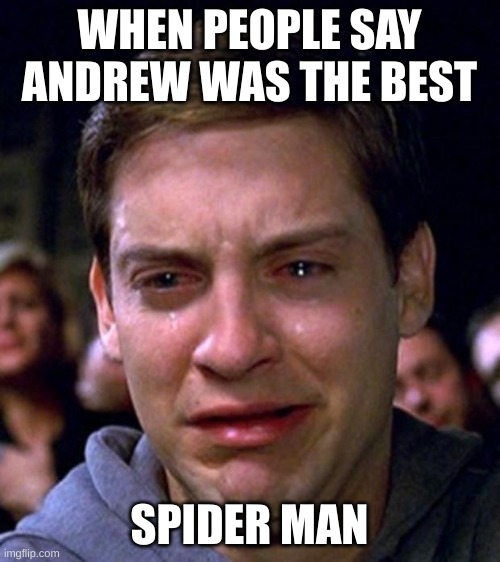 crying peter parker | WHEN PEOPLE SAY ANDREW WAS THE BEST SPIDER MAN | image tagged in crying peter parker | made w/ Imgflip meme maker