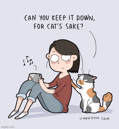 A Cat Lady's Way Of Thinking | image tagged in memes,comics/cartoons,cats,loud music,cat lady,turn down for what | made w/ Imgflip meme maker