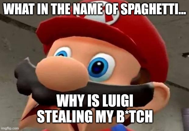 Mario WTF | WHAT IN THE NAME OF SPAGHETTI... WHY IS LUIGI STEALING MY B*TCH | image tagged in mario wtf | made w/ Imgflip meme maker