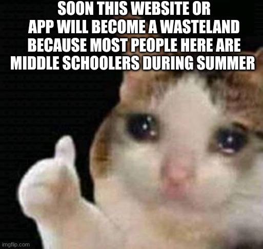 sad thumbs up cat | SOON THIS WEBSITE OR APP WILL BECOME A WASTELAND BECAUSE MOST PEOPLE HERE ARE MIDDLE SCHOOLERS DURING SUMMER | image tagged in sad thumbs up cat | made w/ Imgflip meme maker