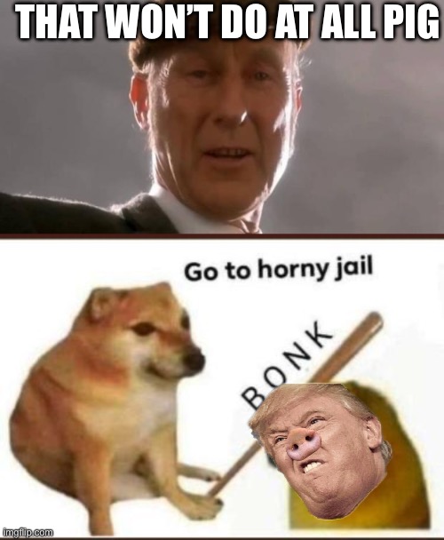 THAT WON’T DO AT ALL PIG | image tagged in that'll do pig,go to horny jail | made w/ Imgflip meme maker