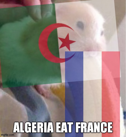 hamster algeria eat banana france | ALGERIA EAT FRANCE | made w/ Imgflip meme maker