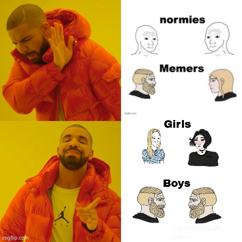Drake Hotline Bling Meme | image tagged in memes,drake hotline bling,boys vs girls | made w/ Imgflip meme maker