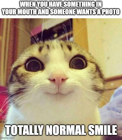 Normal Smile | WHEN YOU HAVE SOMETHING IN YOUR MOUTH AND SOMEONE WANTS A PHOTO; TOTALLY NORMAL SMILE | image tagged in memes,smiling cat | made w/ Imgflip meme maker