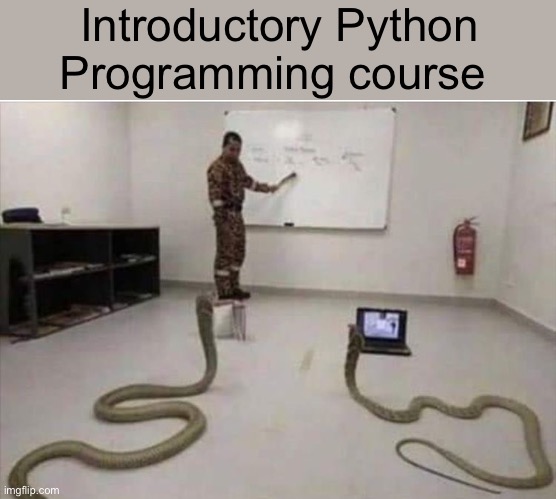Introductory Python Programming course | image tagged in computer,snake | made w/ Imgflip meme maker
