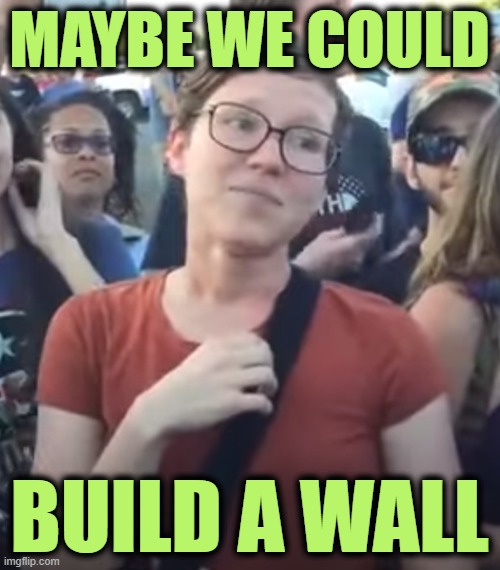 MAYBE WE COULD BUILD A WALL | made w/ Imgflip meme maker