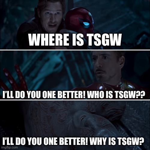 Gamora where, who and why | WHERE IS TSGW I’LL DO YOU ONE BETTER! WHO IS TSGW?? I’LL DO YOU ONE BETTER! WHY IS TSGW? | image tagged in gamora where who and why | made w/ Imgflip meme maker