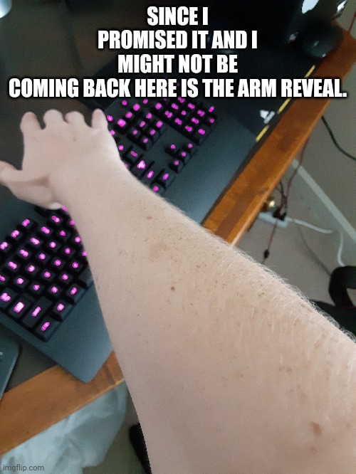 A r m. If I don't come back it was nice meeting yall | SINCE I PROMISED IT AND I MIGHT NOT BE COMING BACK HERE IS THE ARM REVEAL. | made w/ Imgflip meme maker