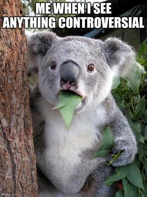 Surprised Koala | ME WHEN I SEE ANYTHING CONTROVERSIAL | image tagged in memes,surprised koala | made w/ Imgflip meme maker