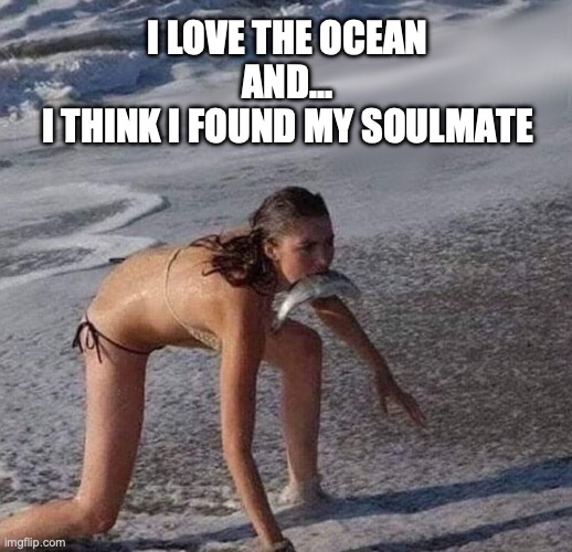 soulmate | I LOVE THE OCEAN
AND...
I THINK I FOUND MY SOULMATE | image tagged in fish girl | made w/ Imgflip meme maker