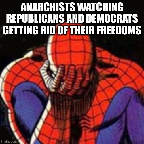 Sadly my right to steal was taken away. | ANARCHISTS WATCHING REPUBLICANS AND DEMOCRATS GETTING RID OF THEIR FREEDOMS | image tagged in memes,sad spiderman,spiderman | made w/ Imgflip meme maker