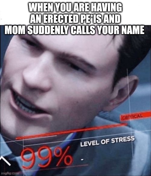 Memes | WHEN YOU ARE HAVING AN ERECTED PE*IS AND MOM SUDDENLY CALLS YOUR NAME | image tagged in 99 level of stress,memes | made w/ Imgflip meme maker