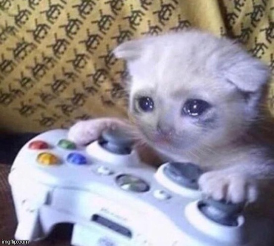 image tagged in sad gamer cat | made w/ Imgflip meme maker