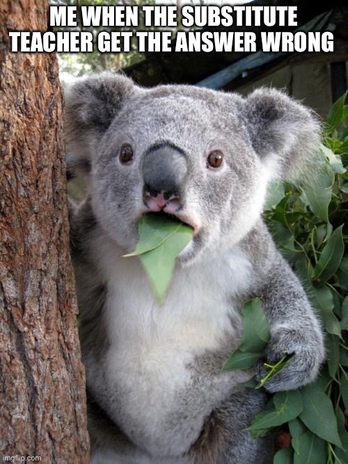 Surprised Koala Meme | ME WHEN THE SUBSTITUTE TEACHER GET THE ANSWER WRONG | image tagged in memes,surprised koala | made w/ Imgflip meme maker