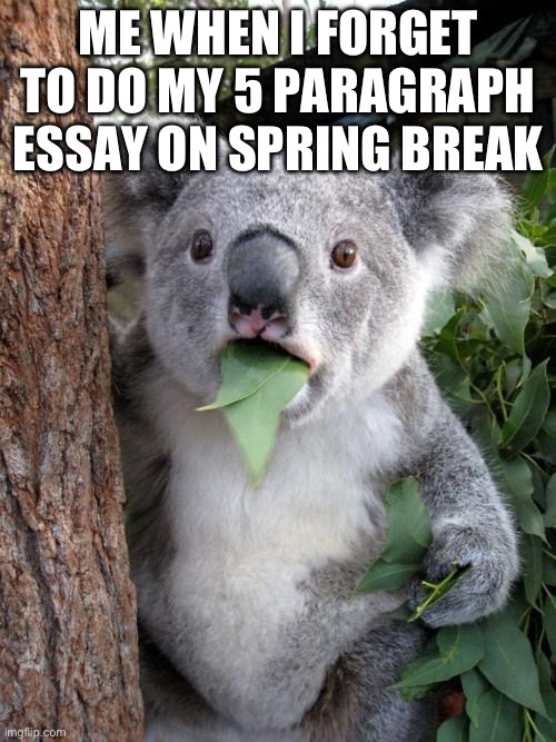 Surprised Koala | ME WHEN I FORGET TO DO MY 5 PARAGRAPH ESSAY ON SPRING BREAK | image tagged in memes,surprised koala | made w/ Imgflip meme maker