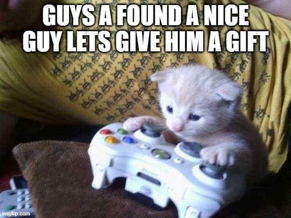 cute kitty on xbox | GUYS A FOUND A NICE GUY LETS GIVE HIM A GIFT | image tagged in cute kitty on xbox | made w/ Imgflip meme maker