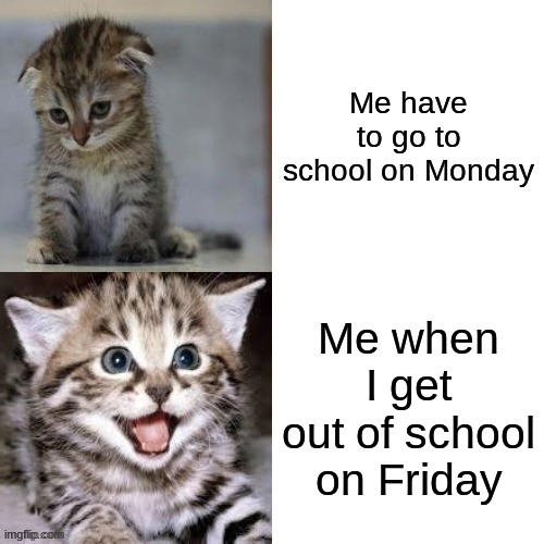 true | Me have to go to school on Monday; Me when I get out of school on Friday | image tagged in sad cat to happy cat | made w/ Imgflip meme maker