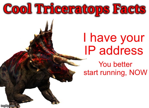 I was bored ok | I have your IP address; You better start running, NOW | image tagged in cool triceratops facts,run | made w/ Imgflip meme maker