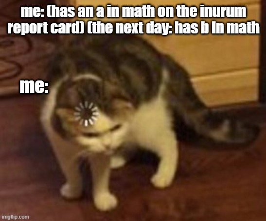 Loading cat | me: (has an a in math on the inurum report card) (the next day: has b in math; me: | image tagged in loading cat | made w/ Imgflip meme maker